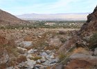 Day 3, Tahquitz Canyon